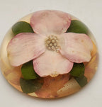 Vintage Dogwood Flower Encase in Resin Dome Paperweight