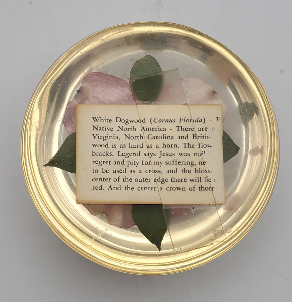 Vintage Dogwood Flower Encase in Resin Dome Paperweight