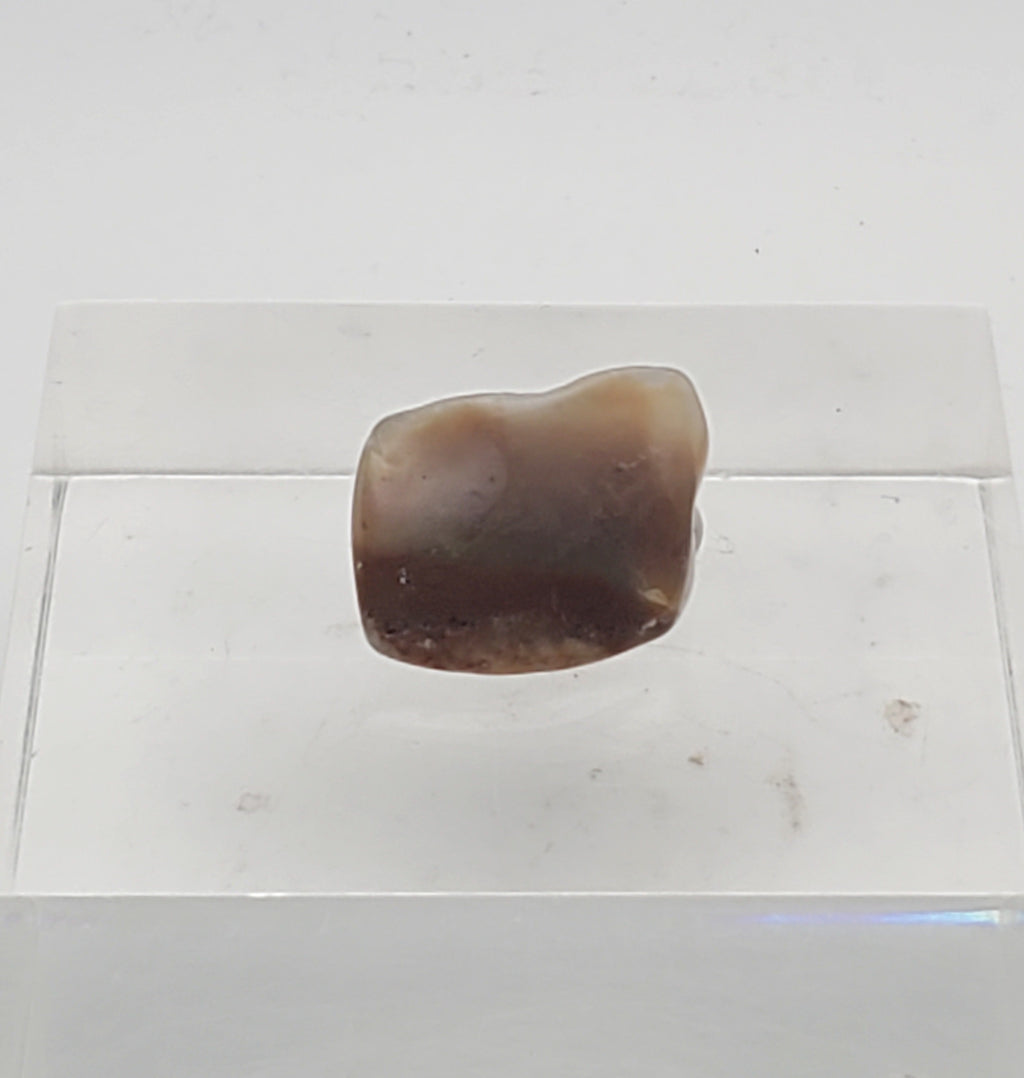 Brown Chalcedony Mineral Specimen
