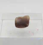 Brown Chalcedony Mineral Specimen