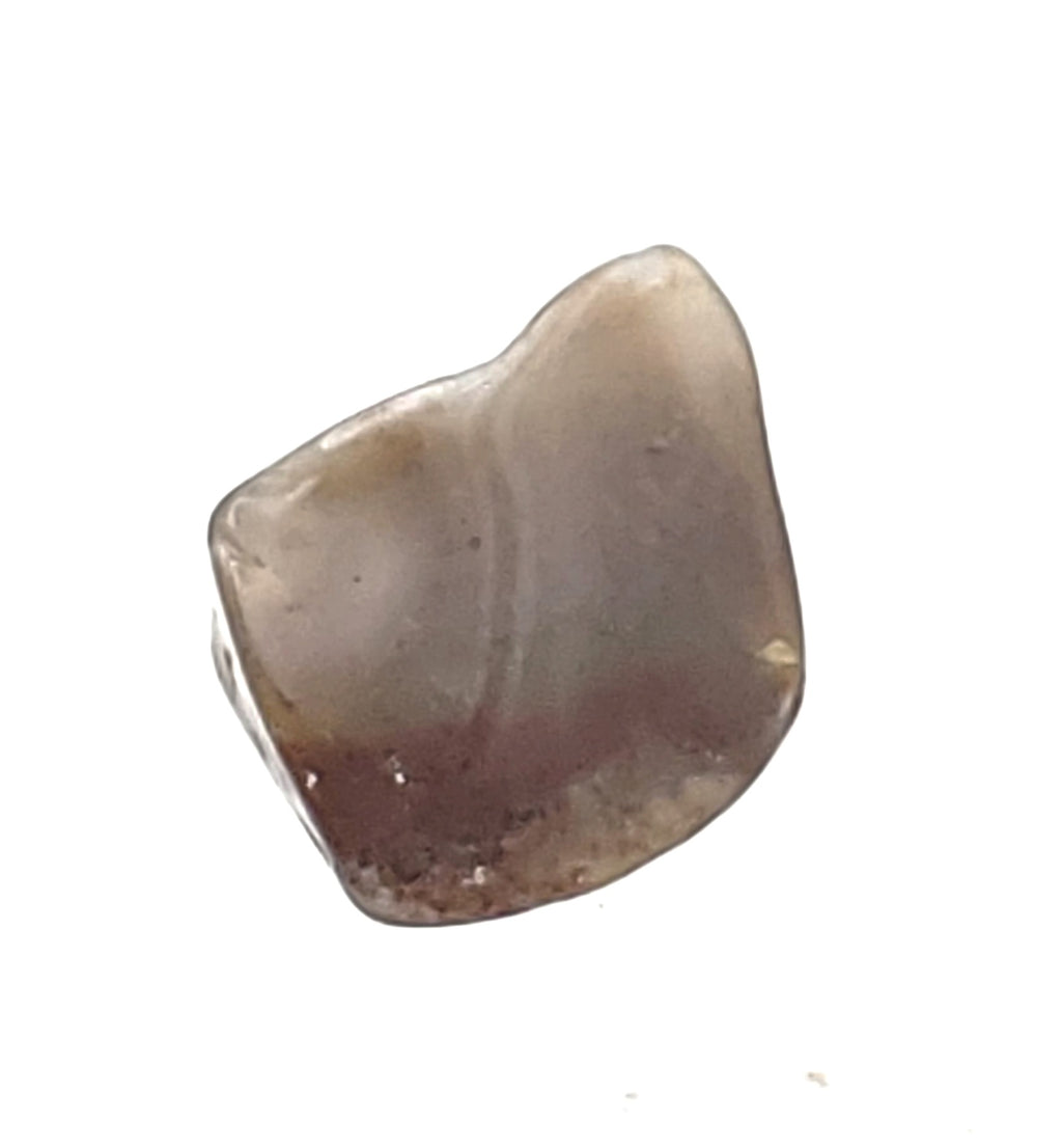 Brown Chalcedony Mineral Specimen