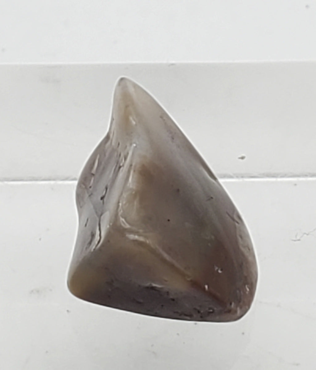 Brown Chalcedony Mineral Specimen