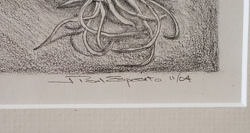 Original Pencil on Paper Still Life Crate of Produce
