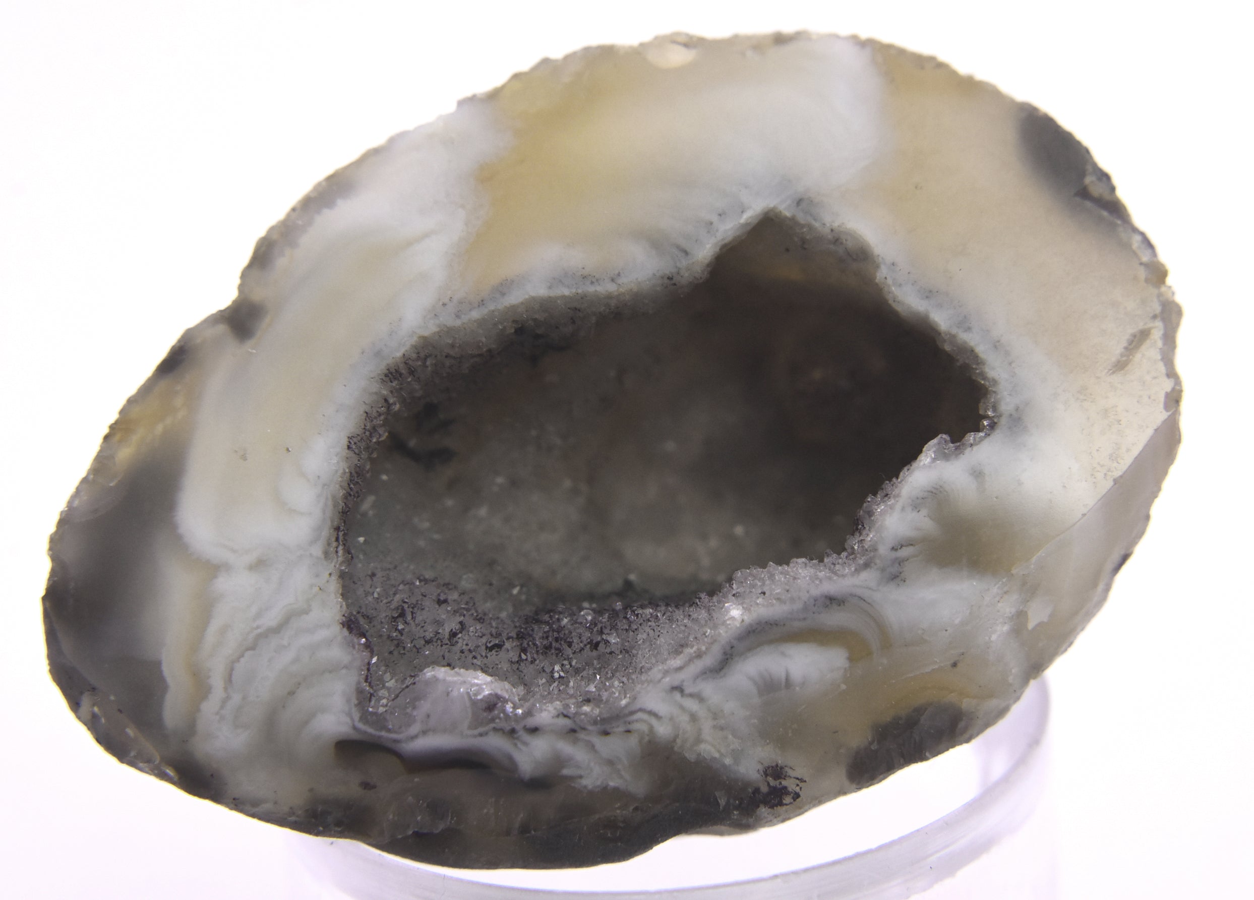 Small Druzy Agate Geode Half