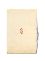 Vintage Chinese New Year Greeting Card with Money Collage