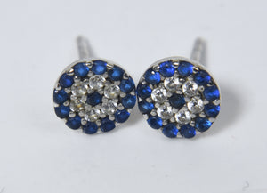 Silver Tone Blue and Colorless Crystal Stud Earrings