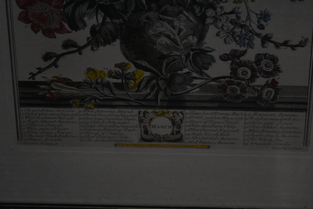 Peter Casteels & Henry Fletcher - March Flower Print