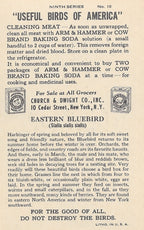 "Useful Birds of America" Vintage 1930s Lithograph Card Collection
