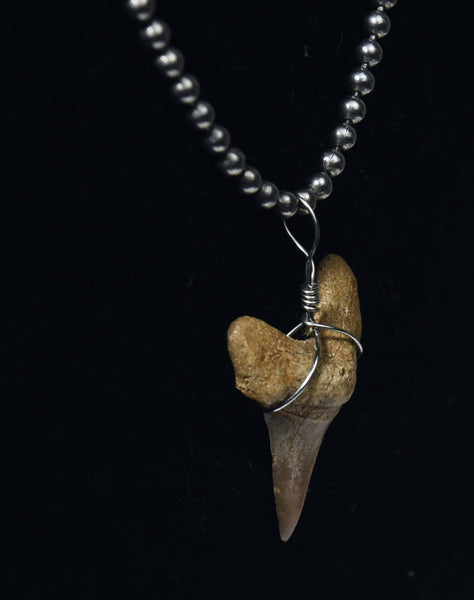 Fossilized Shark Tooth Pendant on Ball Chain
