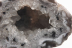 Black Dendritic Inclusion Agate Geode
