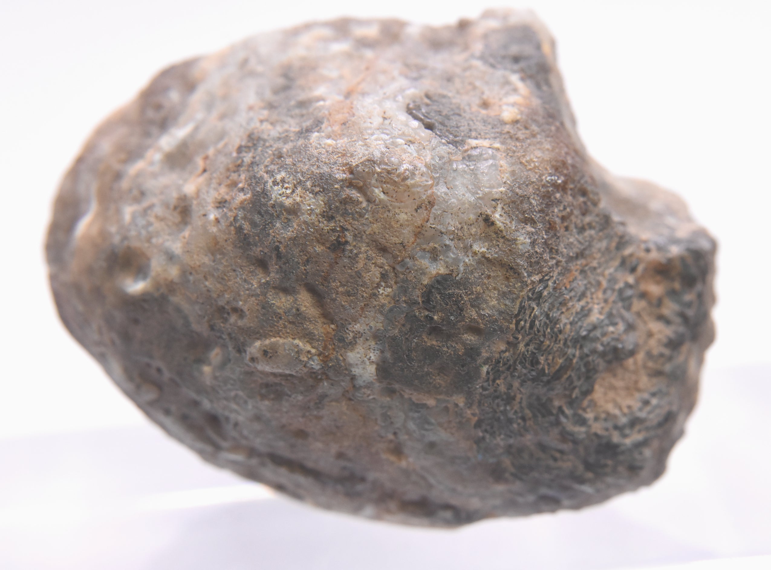 Black Dendritic Inclusion Agate Geode
