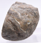 Black Dendritic Inclusion Agate Geode