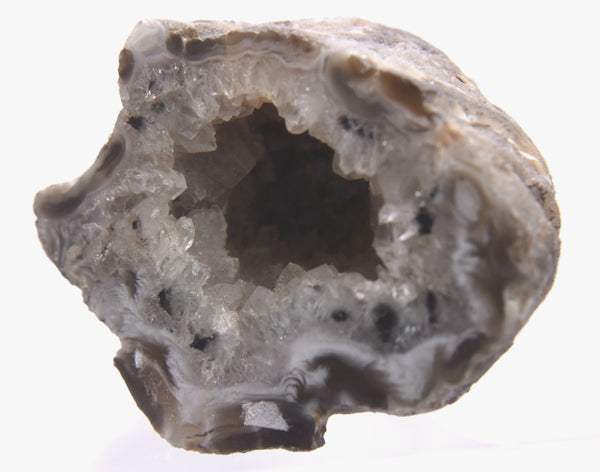 Black Dendritic Inclusion Agate Geode