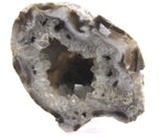 Black Dendritic Inclusion Agate Geode