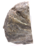 Black Dendritic Inclusion Agate Geode