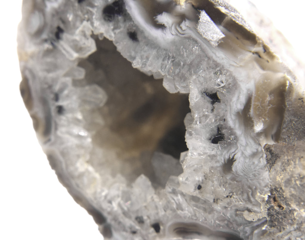 Black Dendritic Inclusion Agate Geode