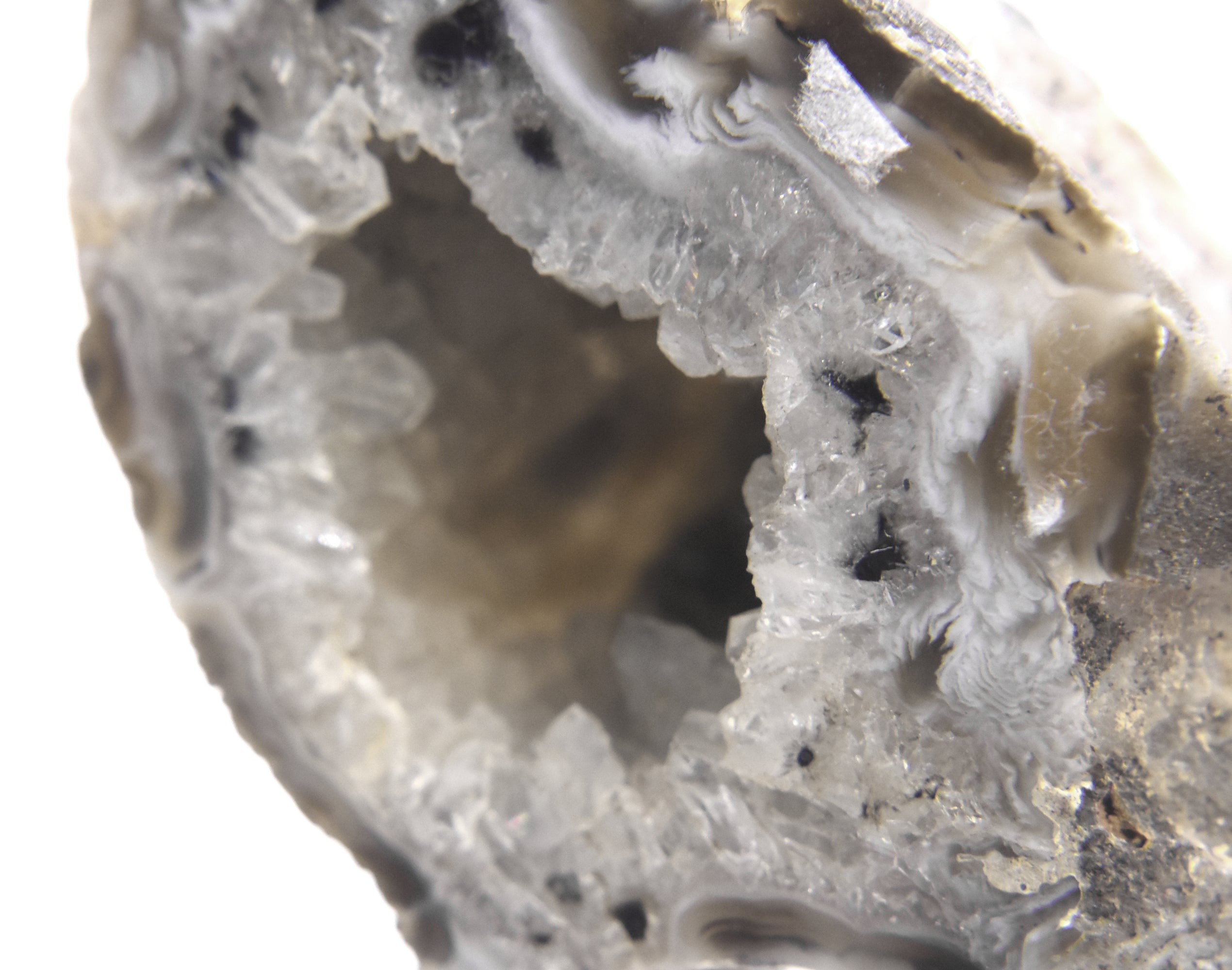 Black Dendritic Inclusion Agate Geode