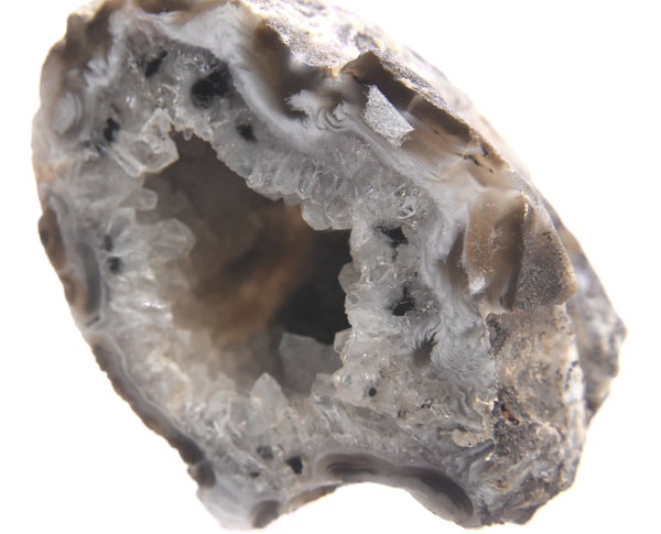 Black Dendritic Inclusion Agate Geode