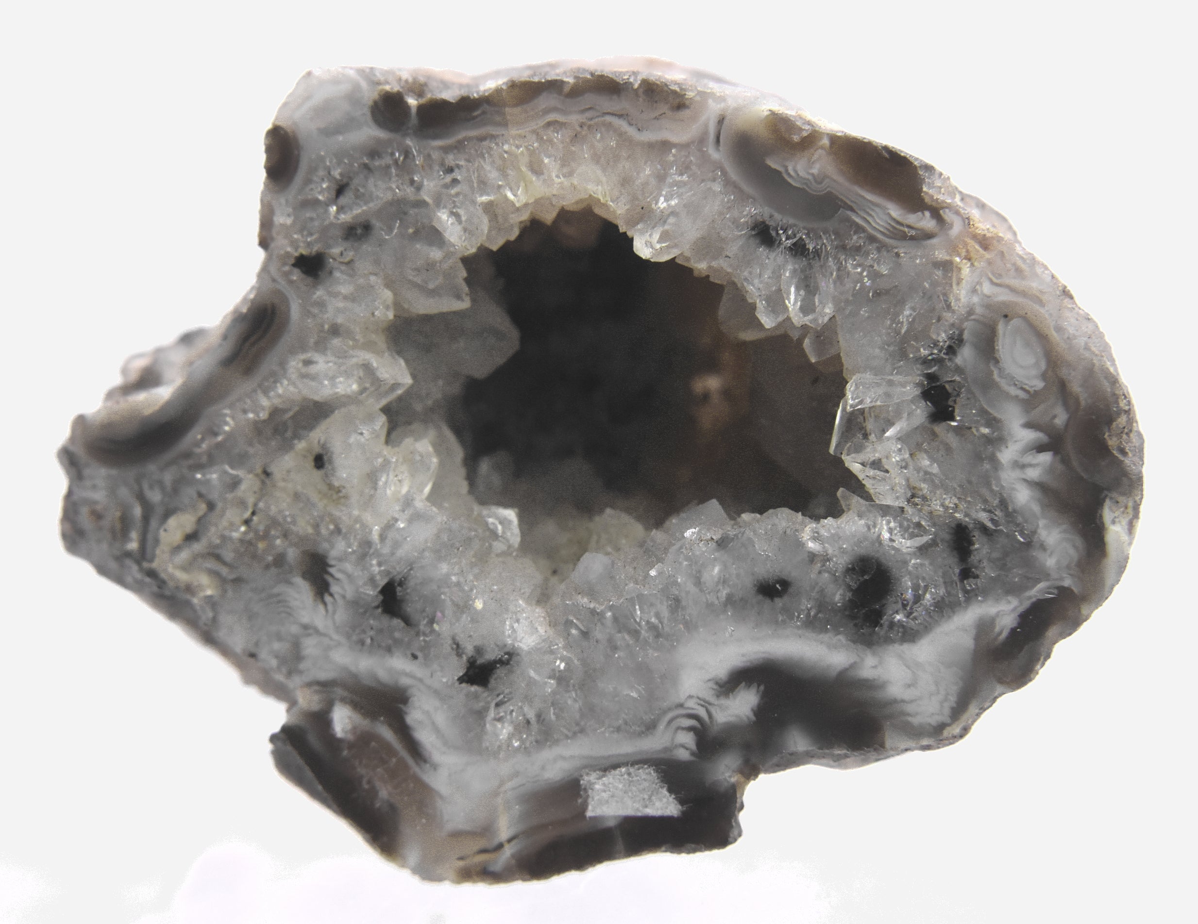 Black Dendritic Inclusion Agate Geode