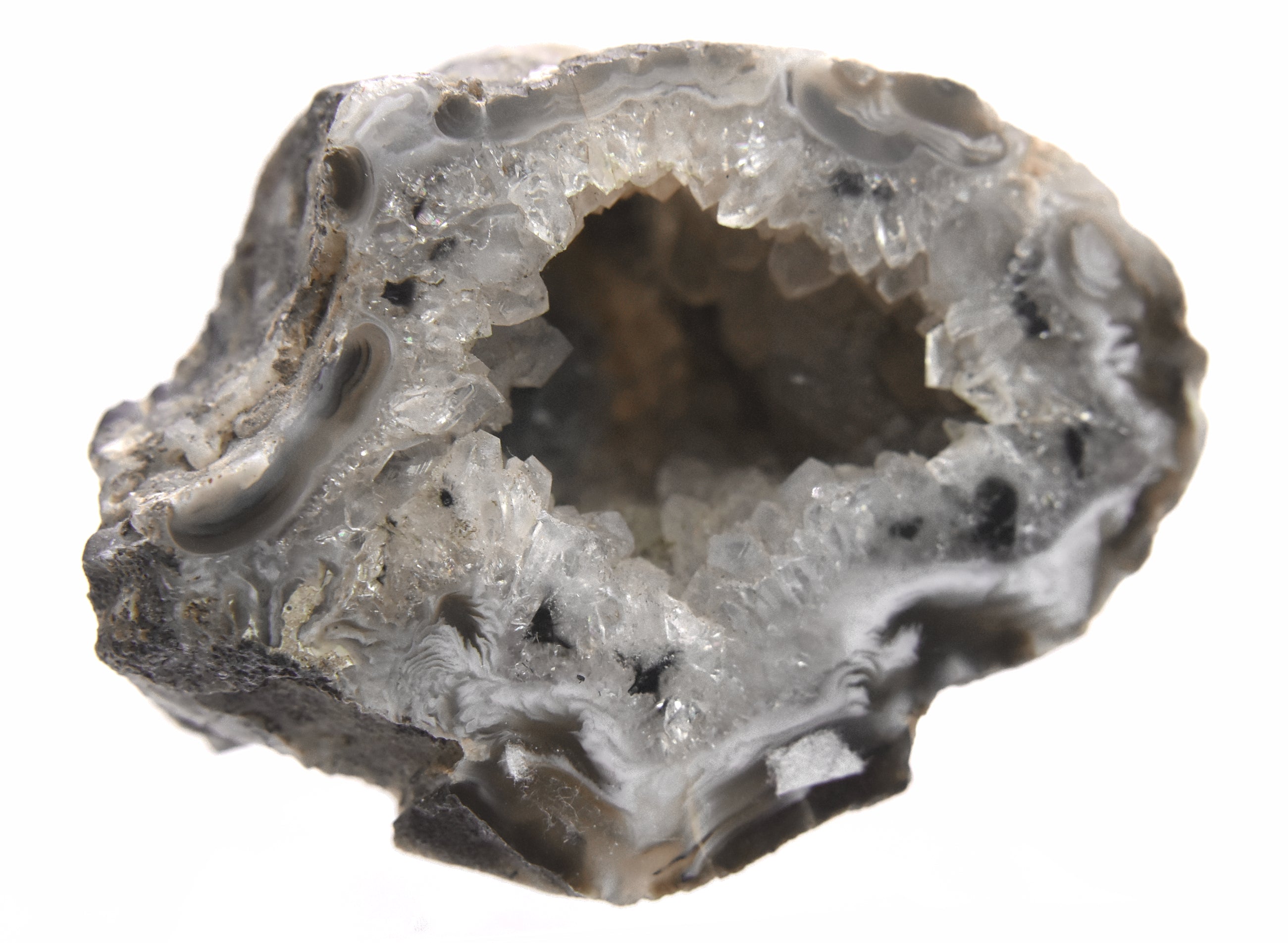 Black Dendritic Inclusion Agate Geode