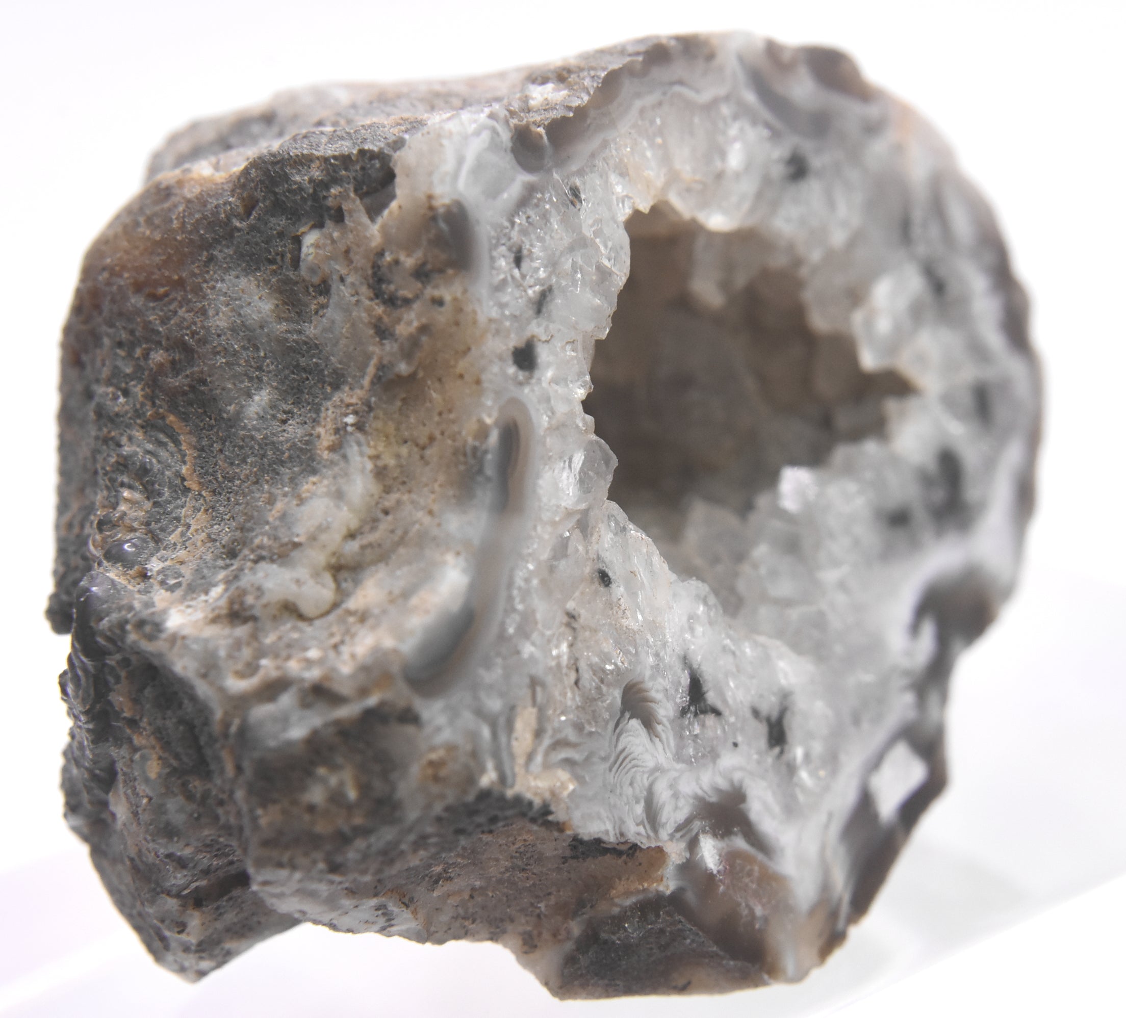 Black Dendritic Inclusion Agate Geode