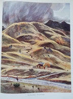 Modern American Painting - 1949