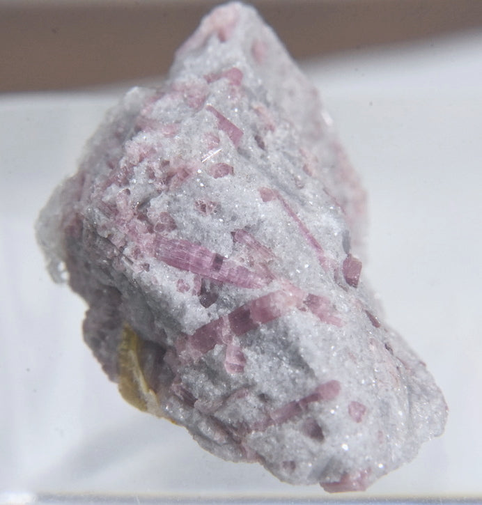 Rubellite Tourmaline in Lepidolite Mineral Specimen - San Diego, California