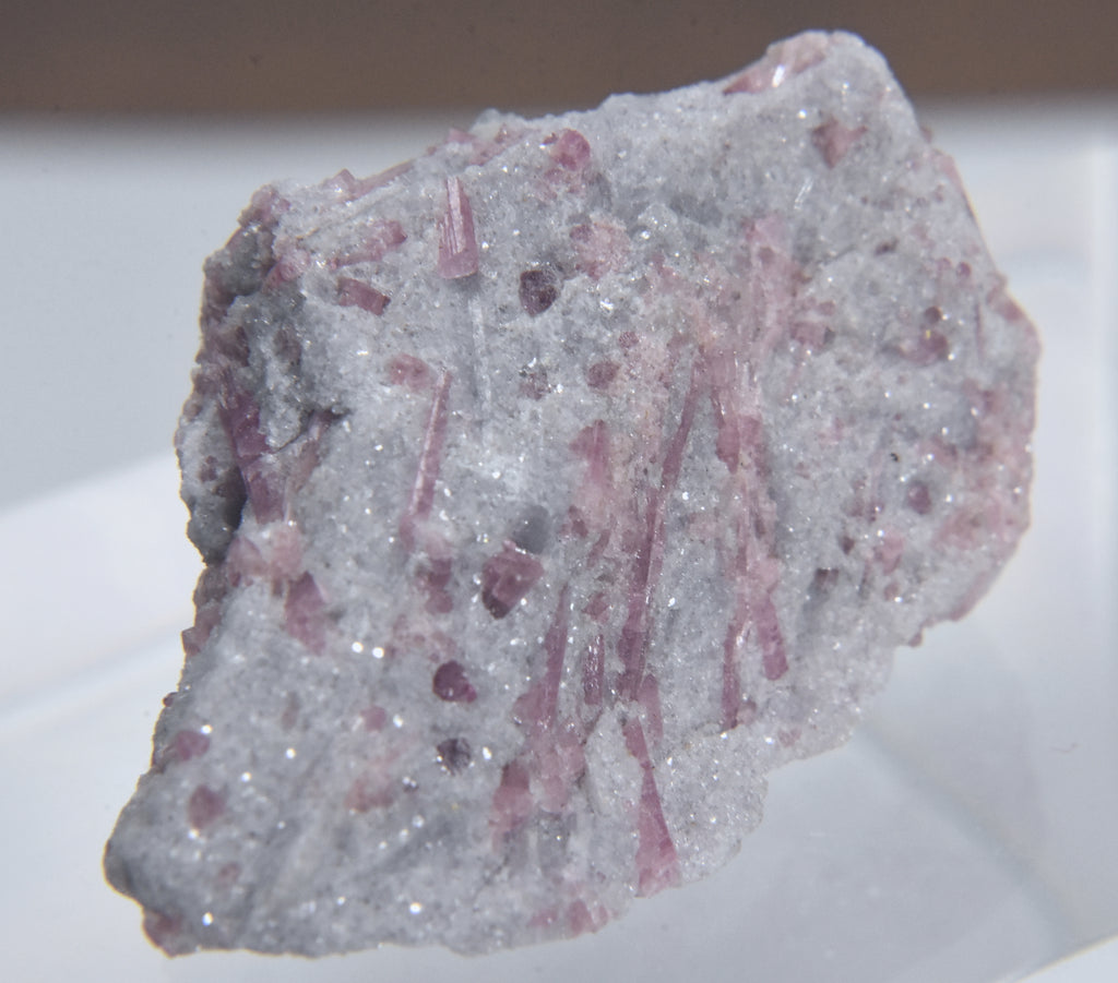 Rubellite Tourmaline in Lepidolite Mineral Specimen - San Diego, California