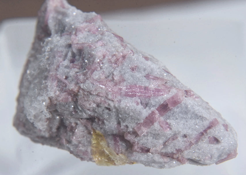 Rubellite Tourmaline in Lepidolite Mineral Specimen - San Diego, California