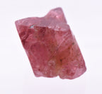 Red Spinel Crystal Mineral Specimen - Vietnam
