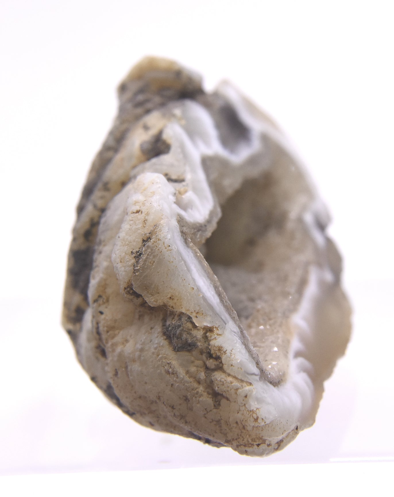 Adorable Little Agate Geode Half