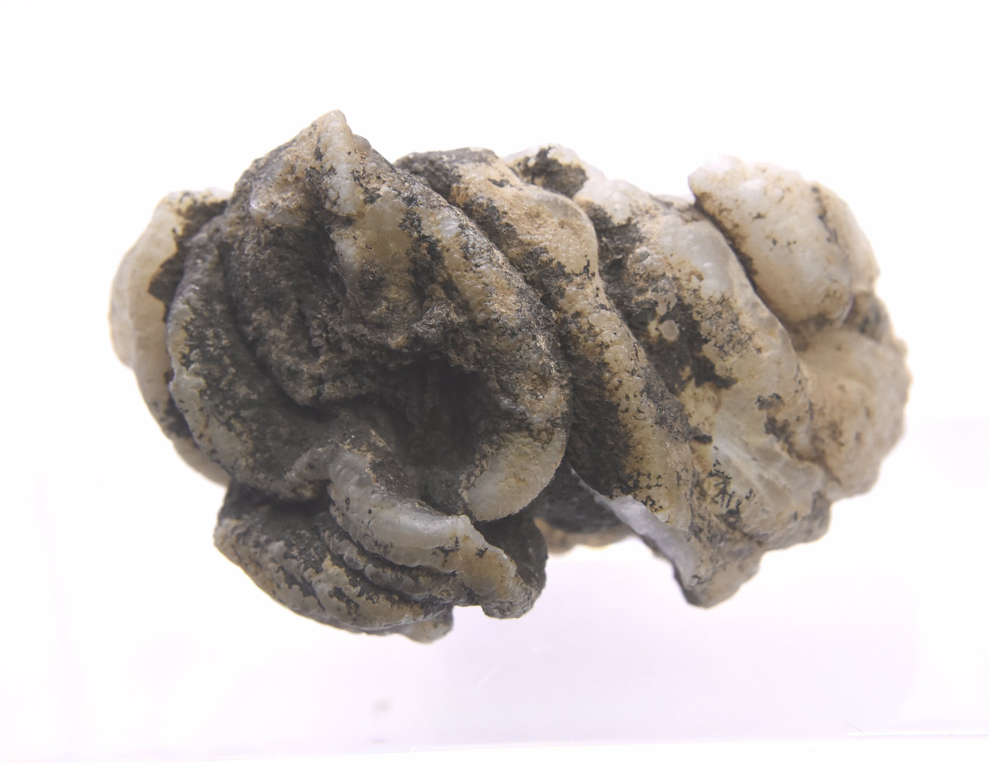 Adorable Little Agate Geode Half