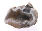 Adorable Little Agate Geode Half