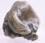 Adorable Little Agate Geode Half