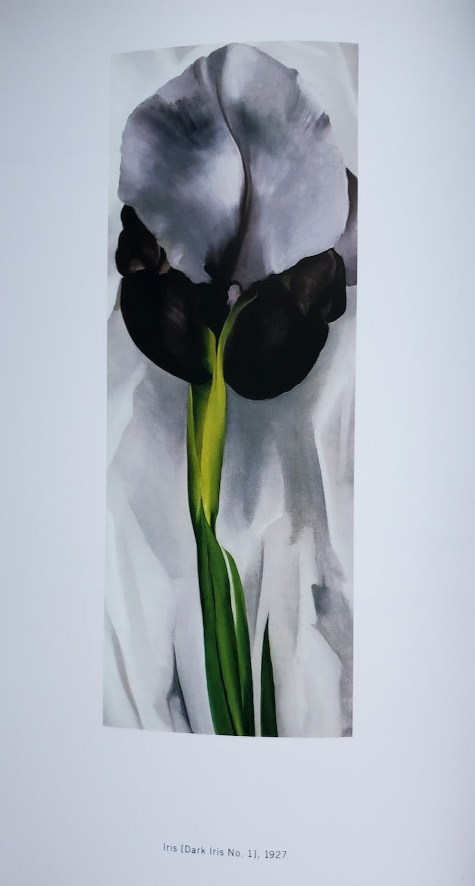 Georgie O’Keeffe & Alfred Stieglitz: Two Lives