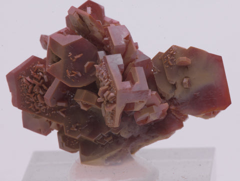 Vanadinite Crystal Cluster Mineral Specimen - Morocco