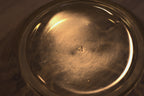 Cambridge Glass Co. - 1930s 'Apple Blossom' Two-Handled Petroleum Glass Bowl