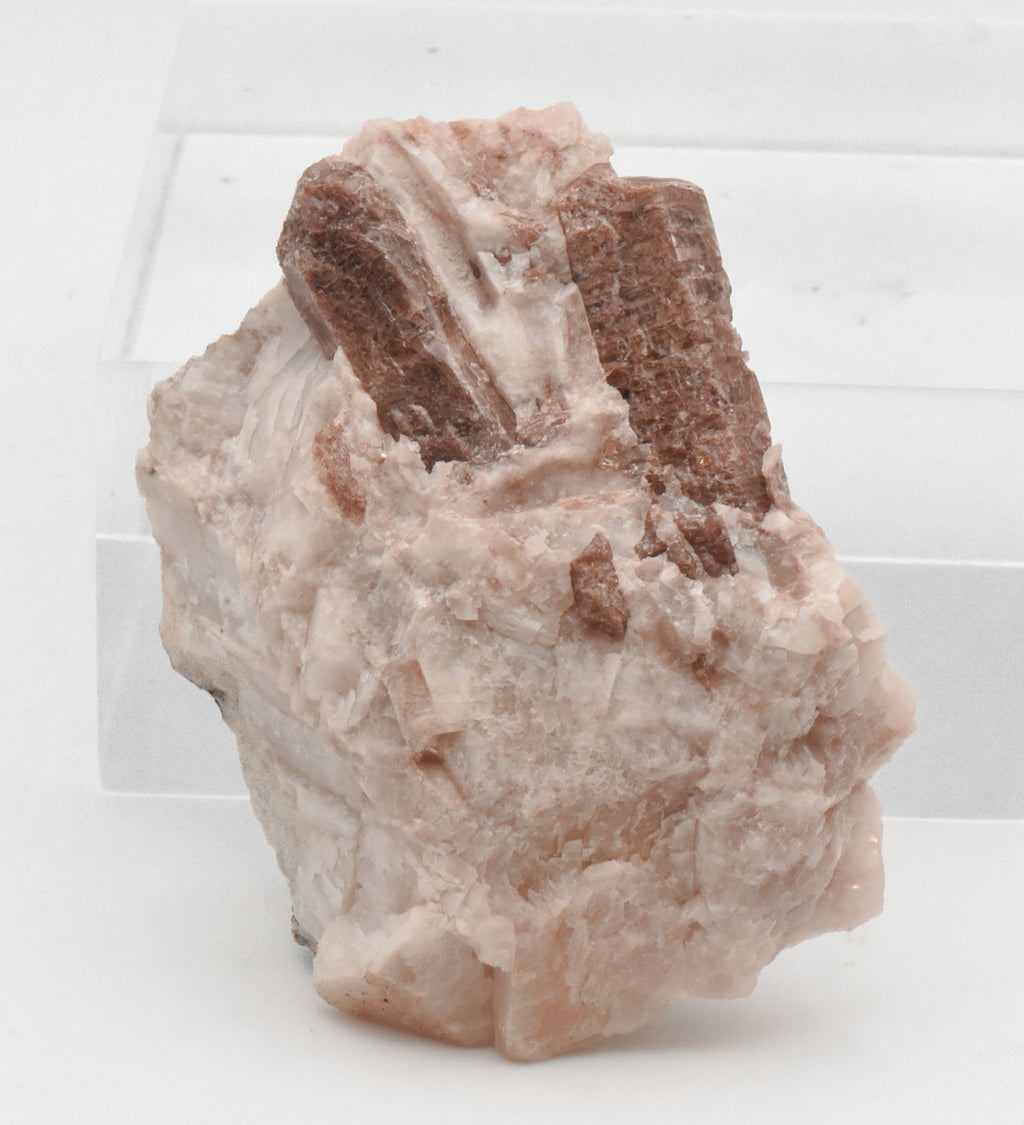 Fluorapatite Crystals in Calcite Matrix Mineral Specimen - Ontario, Canada