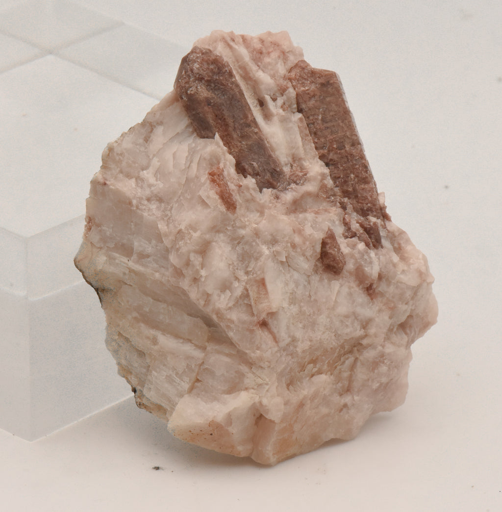 Fluorapatite Crystals in Calcite Matrix Mineral Specimen - Ontario, Canada