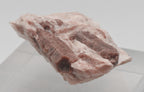 Fluorapatite Crystals in Calcite Matrix Mineral Specimen - Ontario, Canada