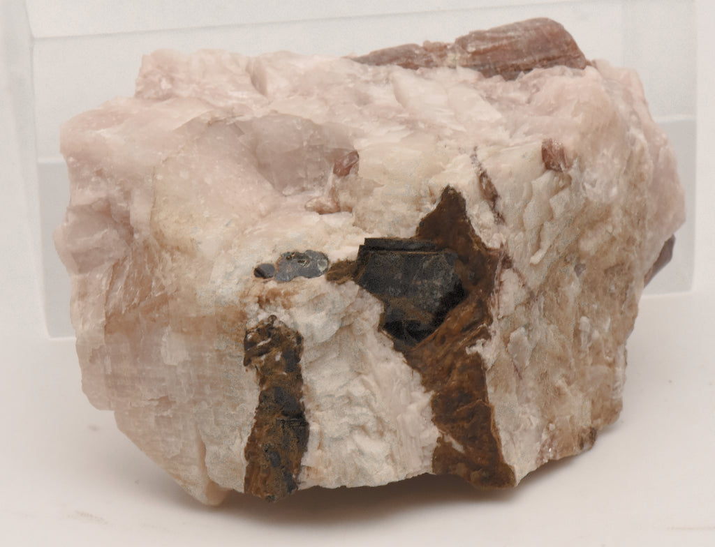 Fluorapatite Crystals in Calcite Matrix Mineral Specimen - Ontario, Canada