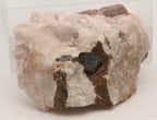 Fluorapatite Crystals in Calcite Matrix Mineral Specimen - Ontario, Canada