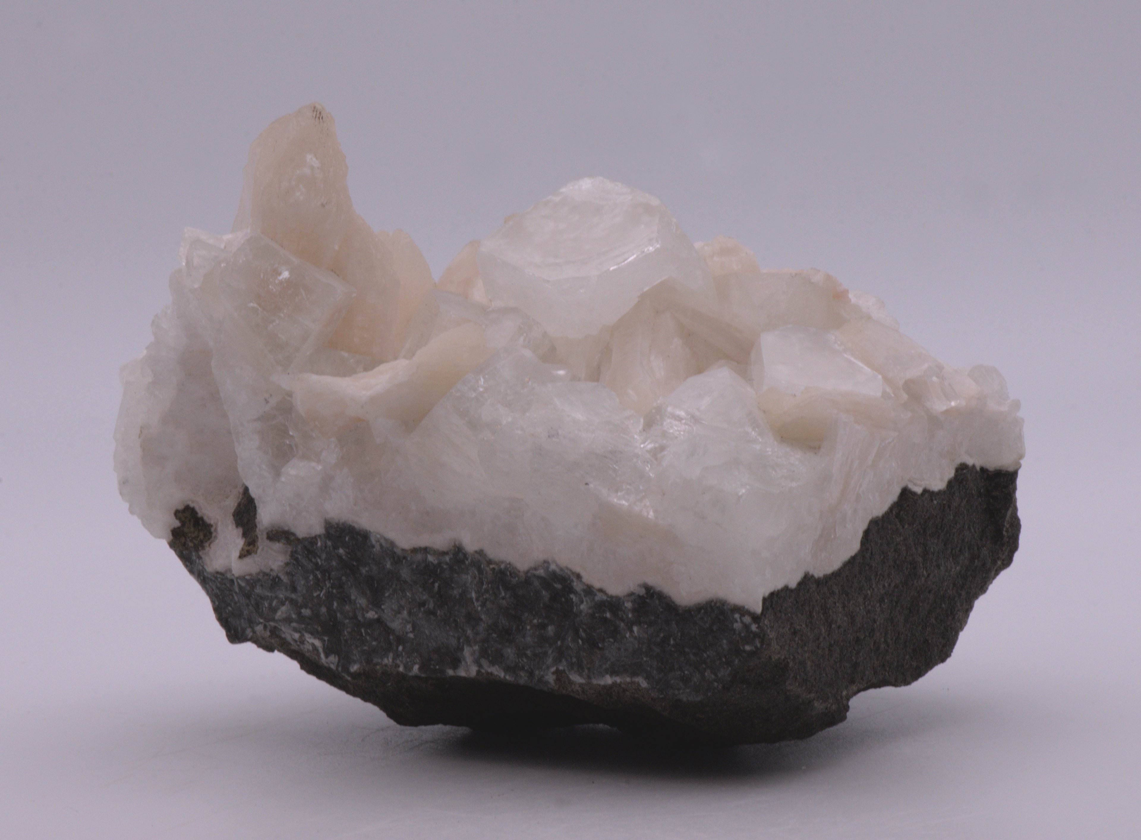 Apophylite with Stilbite on Matrix Cabinet-Size Mineral Specimen - India