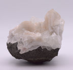 Apophylite with Stilbite on Matrix Cabinet-Size Mineral Specimen - India