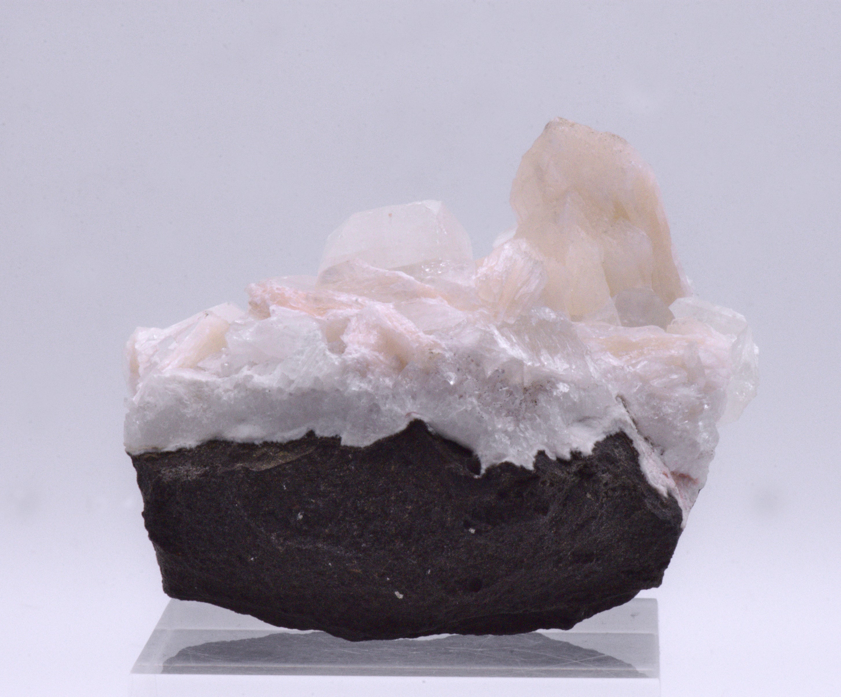 Apophylite with Stilbite on Matrix Cabinet-Size Mineral Specimen - India