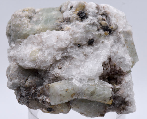 Green Beryl Crystals in Matrix Mineral Specimen - Afghanistan