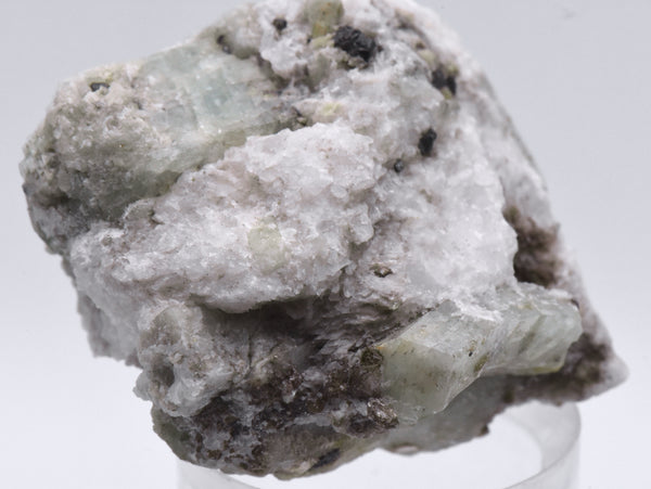 Green Beryl Crystals in Matrix Mineral Specimen - Afghanistan