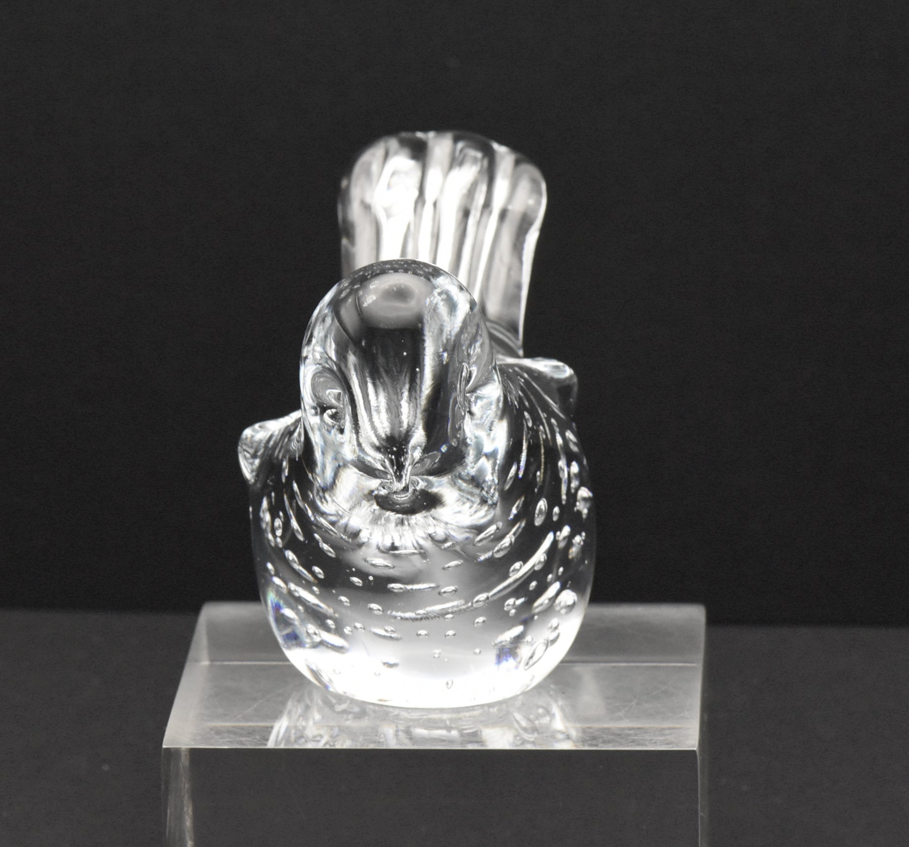 Vintage Colorless Glass Bird Figurine Paperweight