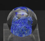 Vintage Blue Dolphins Encased Glass Paperweight