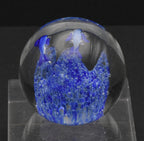 Vintage Blue Dolphins Encased Glass Paperweight